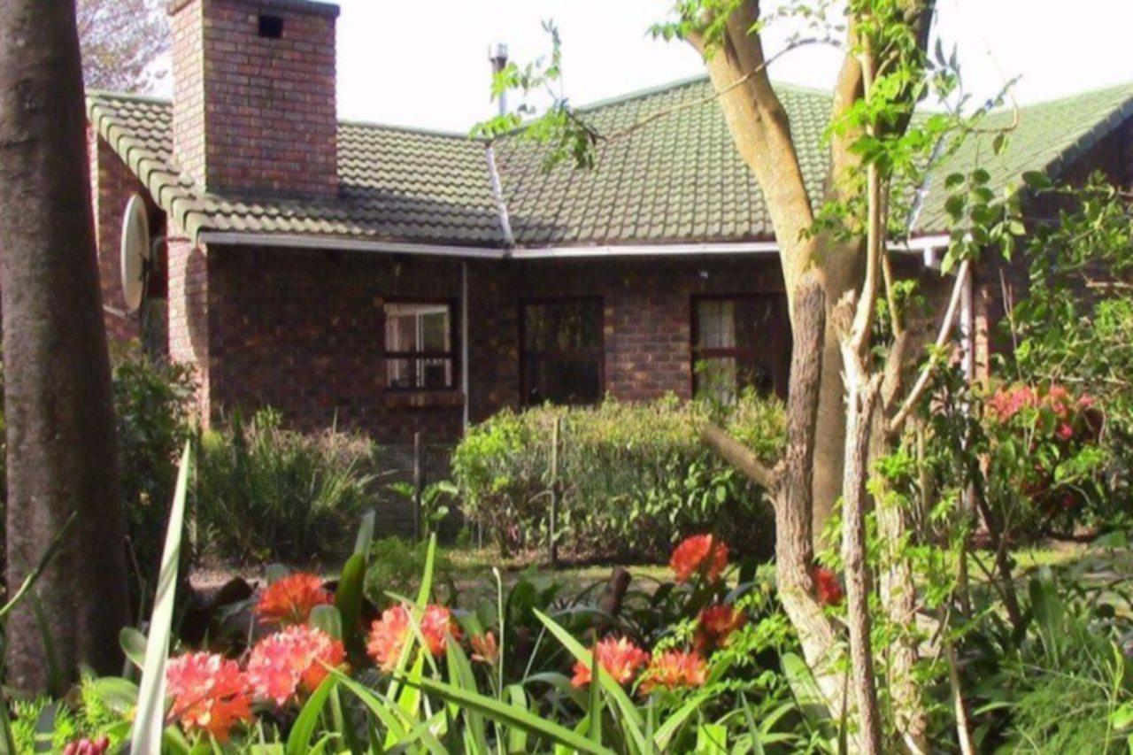 Forest Nest Cottage, Tsitsikamma Stormsrivier Exterior foto