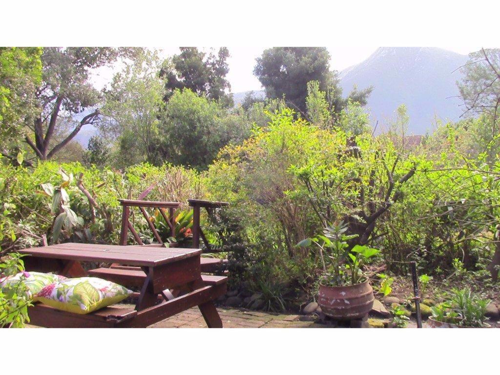 Forest Nest Cottage, Tsitsikamma Stormsrivier Exterior foto